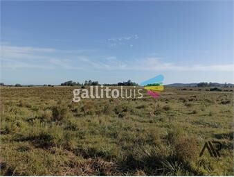 https://www.gallito.com.uy/venta-muy-buen-campo-de-78-hectareas-zona-muy-accesible-inmuebles-26493630