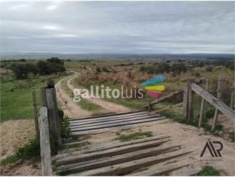 https://www.gallito.com.uy/gran-oportunidad-116-ha-en-garzonmaldondado-a-8-km-del-inmuebles-26493641