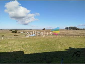 https://www.gallito.com.uy/en-venta-campo-productivoturistico-de-138-ha-en-paraje-inmuebles-26493643