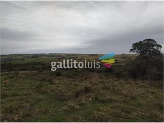 https://www.gallito.com.uy/campo-en-venta-de-115m2-ubicado-en-garzon-inmuebles-26494014