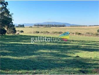 https://www.gallito.com.uy/importante-campo-de-144-hectareas-en-zona-costera-de-can-inmuebles-26494174