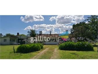 https://www.gallito.com.uy/se-alquila-casa-de-campo-2-dormtorios-con-3-hectareas-c-inmuebles-26494660