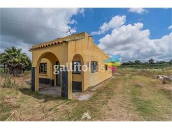 https://www.gallito.com.uy/alquiler-campo-con-casa-frente-a-ruta-6-sauce-inmuebles-26302642