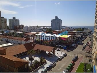 https://www.gallito.com.uy/apartamento-alquiler-temporal-en-peninsula-inmuebles-24910749