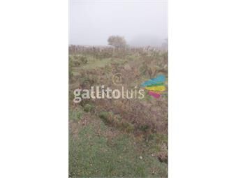 https://www.gallito.com.uy/campo-con-23-hectareas-en-ruta-12-kilometro-94-acepta-ba-inmuebles-26386215