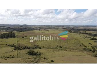 https://www.gallito.com.uy/campo-de-26ha-en-garzon-maldonado-inmuebles-22667908