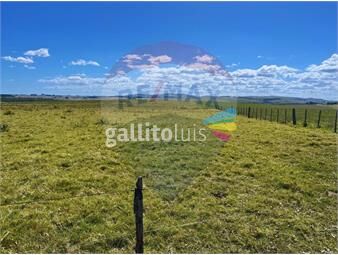 https://www.gallito.com.uy/campo-en-venta-rocha-cerca-de-19-de-abril-33-has-inmuebles-26550543