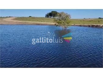 https://www.gallito.com.uy/campo-52-has-en-garzon-a-32-km-de-jose-ignacio-por-camin-inmuebles-26557800