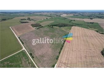 https://www.gallito.com.uy/39-has-agricolas-en-colonia-inmuebles-26557051