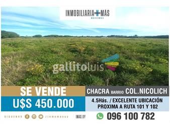 https://www.gallito.com.uy/chacra-en-venta-45has-colonia-nicolich-ruta-101-y-102-g-inmuebles-26162758