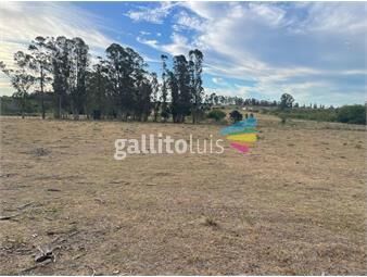 https://www.gallito.com.uy/venta-de-campo-1ha-y-2986m²-cerca-de-suarez-inmuebles-25583303