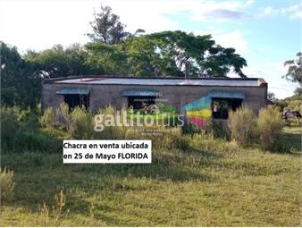 https://www.gallito.com.uy/chacra-en-venta-ubicada-en-25-de-mayo-florida-inmuebles-26597714