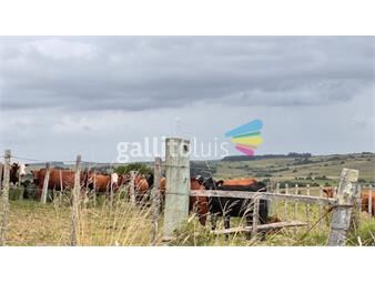 https://www.gallito.com.uy/campo-sobre-camino-los-molles-y-pueblo-garzon-inmuebles-26598605