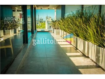 https://www.gallito.com.uy/alquiler-apartamento-dos-dormitorios-en-centro-801-inmuebles-26510852