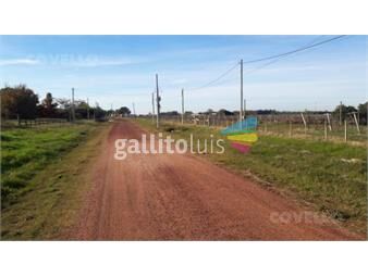 https://www.gallito.com.uy/venta-terreno-una-hectarea-y-media-colonia-estrella-inmuebles-25617956