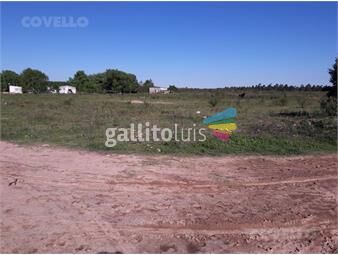 https://www.gallito.com.uy/terreno-con-vista-al-rio-accesos-a-punta-piedra-buen-acce-inmuebles-25618505