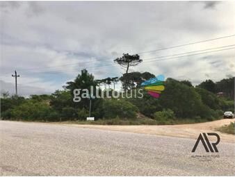 https://www.gallito.com.uy/venta-lote-1000m2-a-dos-cuadras-de-la-playa-en-venta-c-inmuebles-26493786