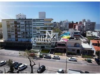 https://www.gallito.com.uy/proyecto-solaris-playa-malvin-monoambiente-a-metros-de-l-inmuebles-25037289