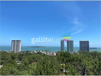 https://www.gallito.com.uy/apartamento-en-venta-punta-del-este-inmuebles-26626918