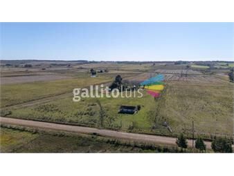 https://www.gallito.com.uy/campo-en-venta-13-hectareas-migues-canelones-inmuebles-25786730