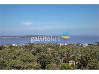 https://www.gallito.com.uy/alquiler-departamento-punta-del-este-verano-2025-inmuebles-26632148