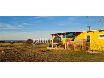 https://www.gallito.com.uy/chacra-turistica-en-venta-en-los-pinos-inmuebles-26632613