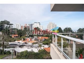 https://www.gallito.com.uy/venta-de-amplio-apartamento-1-dormitorio-playa-mansa-punt-inmuebles-25793711