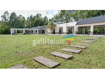 https://www.gallito.com.uy/destacada-casa-sobre-la-costa-en-balneario-el-ensueño-inmuebles-23564249