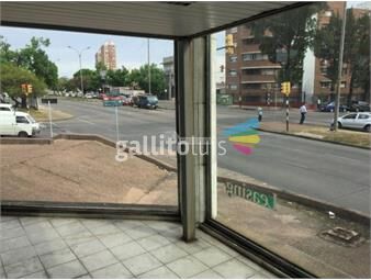 https://www.gallito.com.uy/alquiler-venta-local-galpon-deposito-comercio-la-blanqueada-inmuebles-26637291