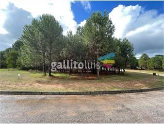 https://www.gallito.com.uy/lote-en-venta-en-acres-de-solanas-gran-metraje-inmuebles-26637494