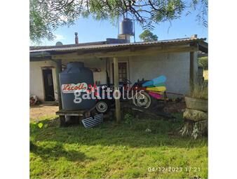 https://www.gallito.com.uy/venta-campo-de-112-hectareas-rocha-inmuebles-24769486