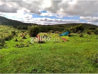 https://www.gallito.com.uy/venta-campo-78-hectareas-en-garzon-inmuebles-23217728