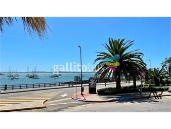 https://www.gallito.com.uy/venta-apartamento-4-dormitorios-vista-al-mar-punta-del-inmuebles-26494279