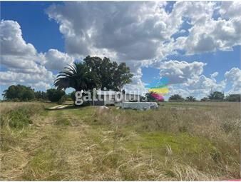 https://www.gallito.com.uy/campo-en-venta-24-hectareas-a-10-km-de-libertad-inmuebles-26669691