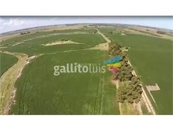 https://www.gallito.com.uy/venta-de-chacra-o-campo-en-jacinto-vera-inmuebles-26677167