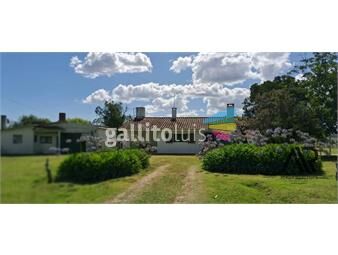 https://www.gallito.com.uy/se-alquila-casa-de-campo-2-dormtorios-con-3-hectareas-c-inmuebles-26494660