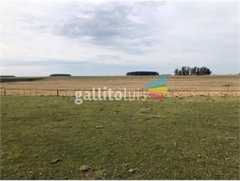 https://www.gallito.com.uy/campo-agricola-ganadero-l-i-lavalleja-i-2100-ha-ic-101-inmuebles-26039666