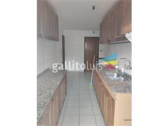 https://www.gallito.com.uy/enorme-apartamento-en-alquiler-en-pleno-centro-de-punta-car-inmuebles-26715845