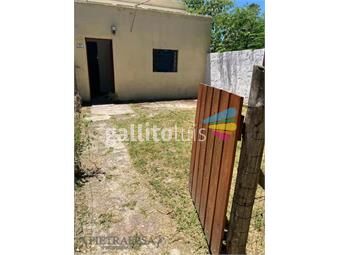 https://www.gallito.com.uy/casa-en-alquiler-1-dorm-1-baã±o-patio-jardã­n-flor-de-inmuebles-26670526