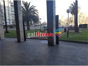 https://www.gallito.com.uy/local-frente-a-la-plaza-san-martin-inmuebles-26731043