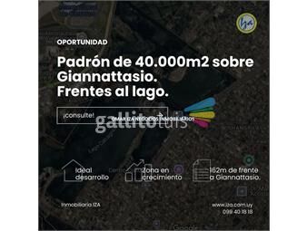 https://www.gallito.com.uy/venta-terreno-shangrila-40000m2-prox-aeropuerto-desarrollo-inmuebles-26732121