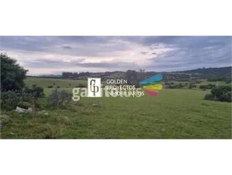 https://www.gallito.com.uy/venta-de-chacra-a-5-km-de-pueblo-eden-y-ruta-12-en-punta-d-inmuebles-26761079