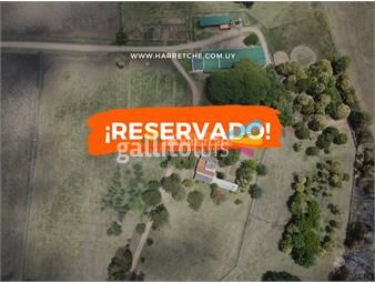 https://www.gallito.com.uy/haras-en-venta-progreso-15-boxes-muro-perimetral-casaqu-inmuebles-23435067