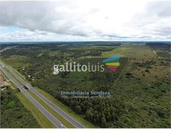 https://www.gallito.com.uy/campo-12hect-92-de-prod-junto-a-la-interbalnearia-inmuebles-14212994