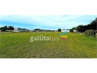 https://www.gallito.com.uy/terrenos-a-1-cuadra-de-ruta-1-inmuebles-26761038