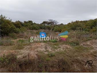 https://www.gallito.com.uy/terreno-en-venta-de-526m2-ubicado-en-puimayen-inmuebles-26772619