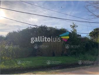 https://www.gallito.com.uy/venta-terreno-en-el-chorro-inmuebles-24708743