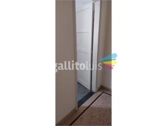 https://www.gallito.com.uy/alquiler-apartamento-en-buceo-inmuebles-26790637