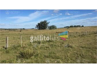 https://www.gallito.com.uy/hermosa-chacra-10-hectareas-en-camino-de-los-ceibos-san-inmuebles-25643611