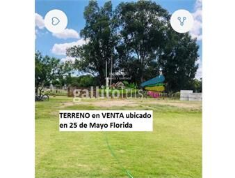 https://www.gallito.com.uy/terreno-en-venta-ubicado-en-25-de-mayo-florida-inmuebles-26597789